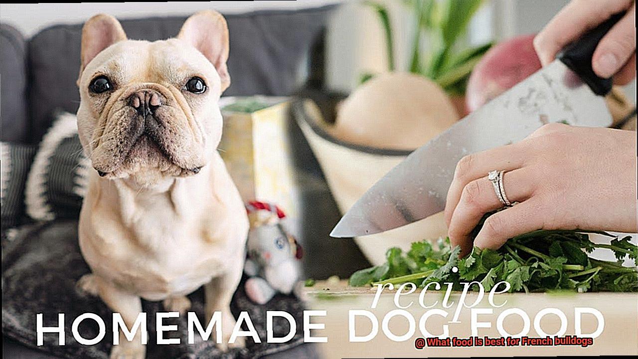 What food is best for French bulldogs-6