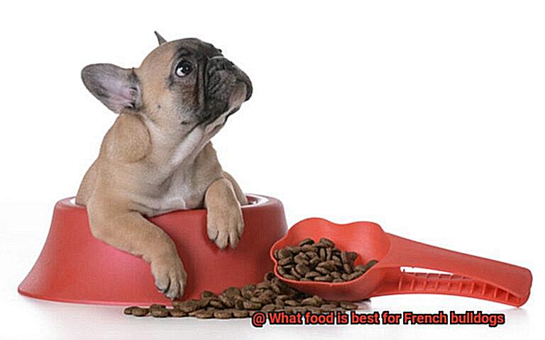 What food is best for French bulldogs-3