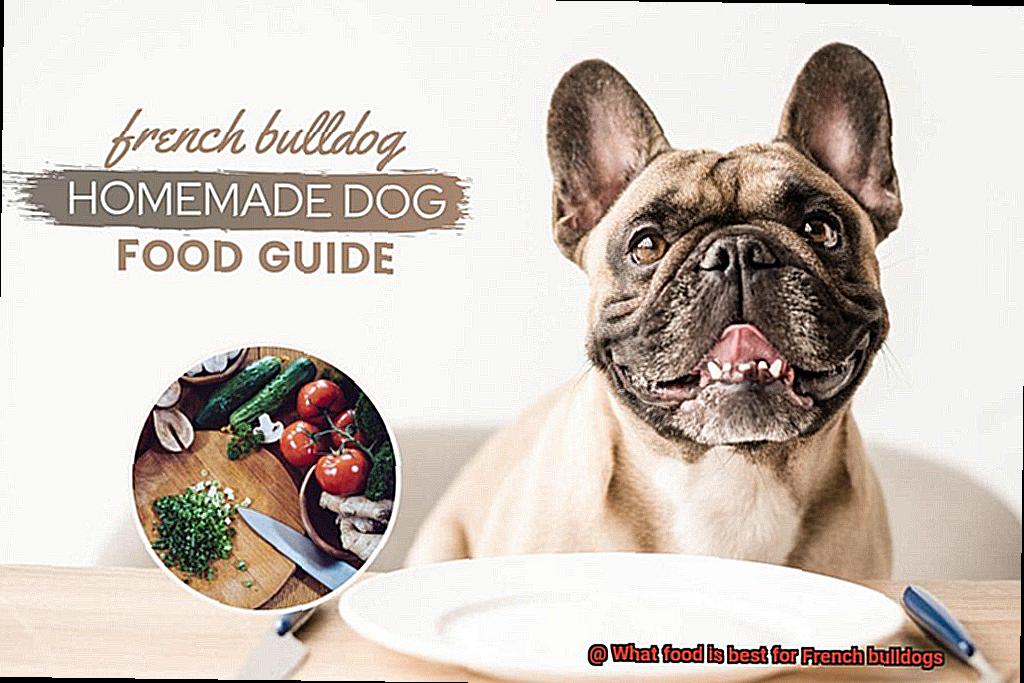 What food is best for French bulldogs-5