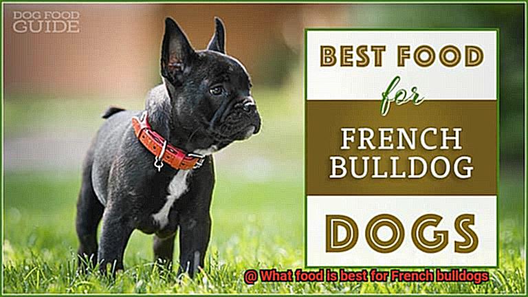 What food is best for French bulldogs-2