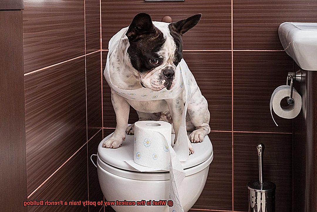 What is the easiest way to potty train a French Bulldog-2