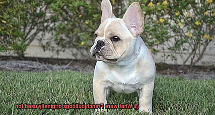 What were French bulldogs originally used for-3