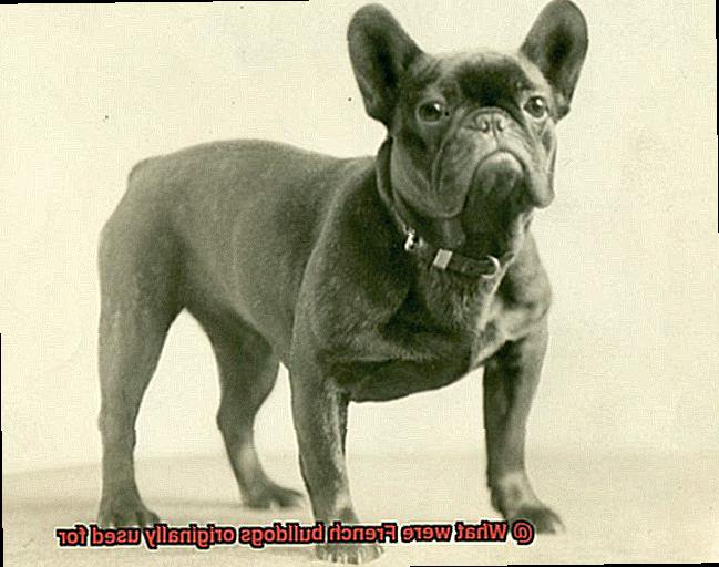 What were French bulldogs originally used for-5