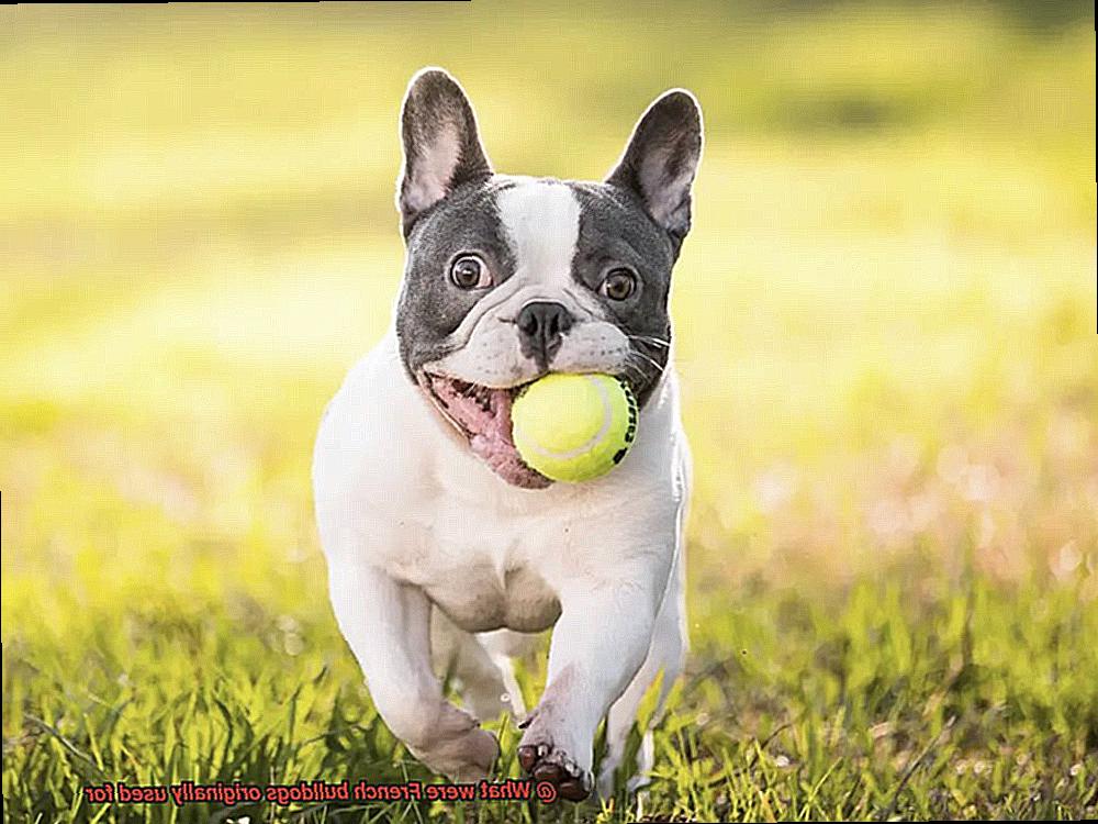 What were French bulldogs originally used for-4