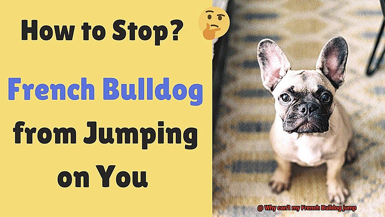 Why can't my French Bulldog jump-9