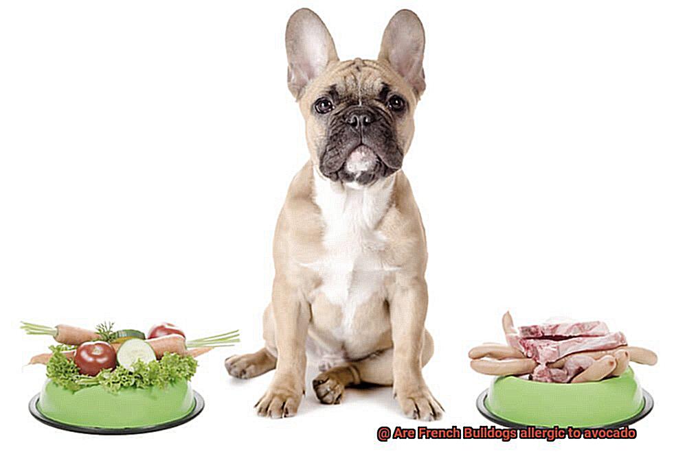 Are French Bulldogs allergic to avocado-3