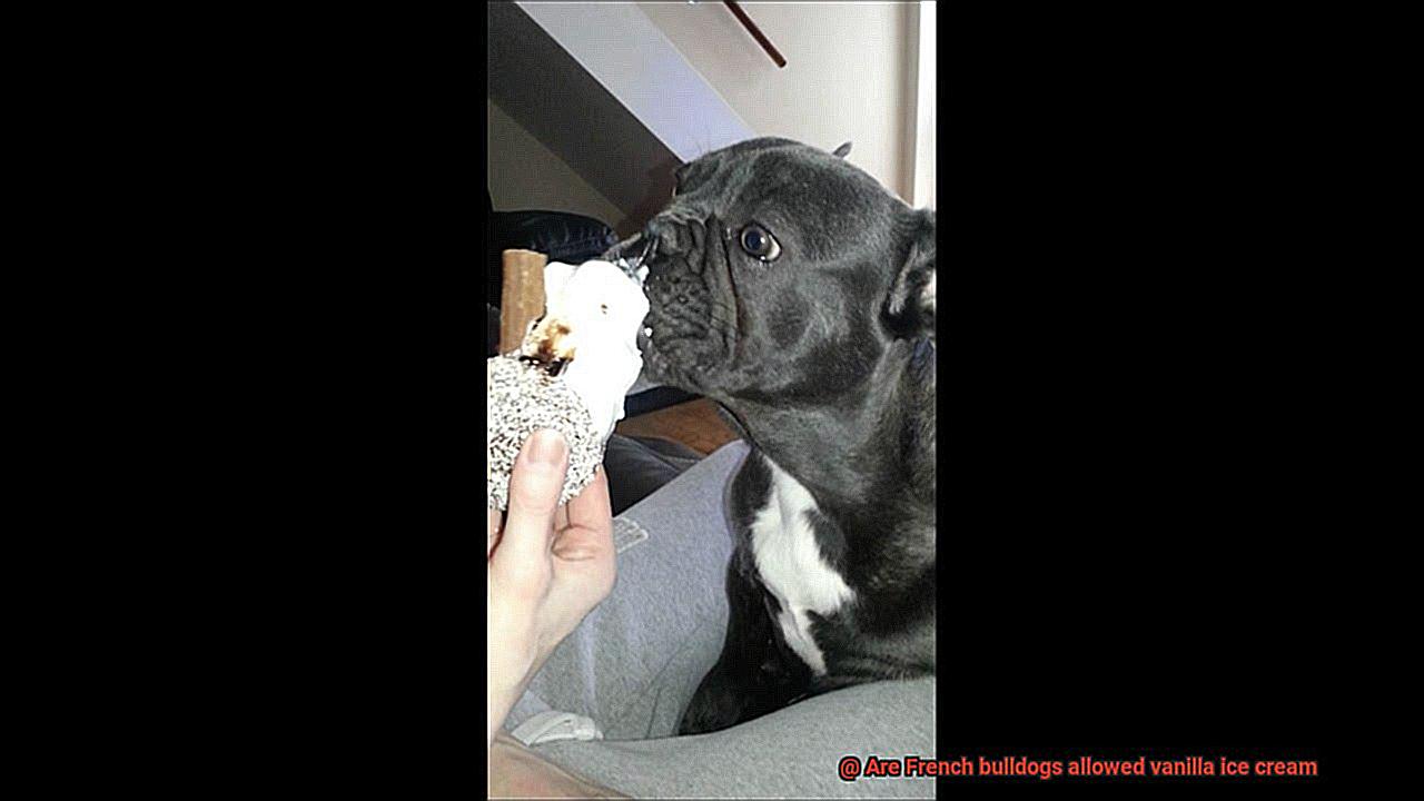 Are French bulldogs allowed vanilla ice cream-4