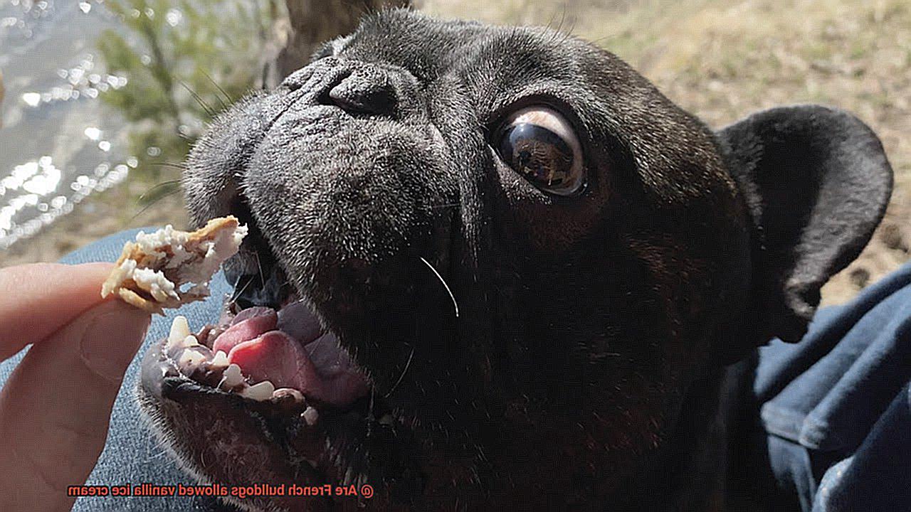 Are French bulldogs allowed vanilla ice cream-5