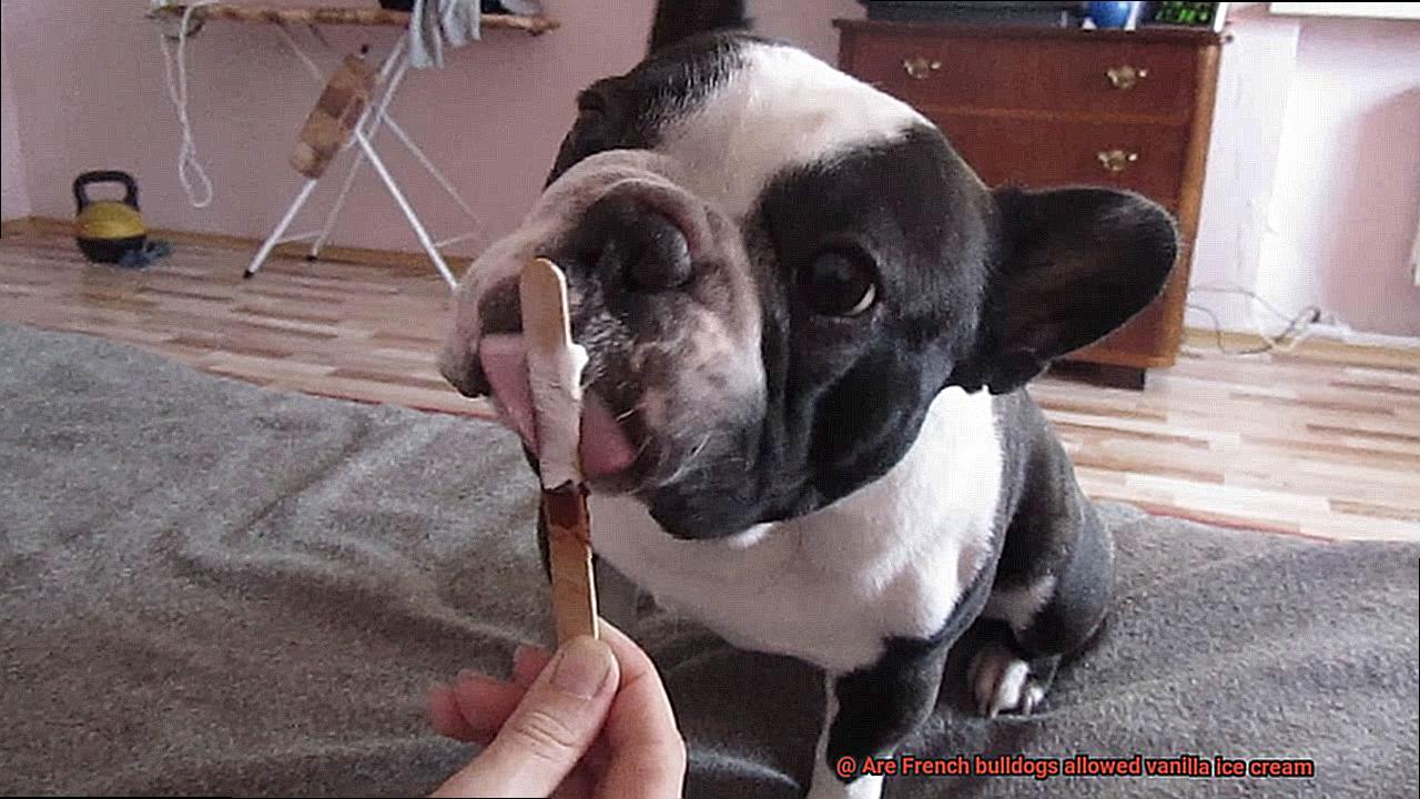 Are French bulldogs allowed vanilla ice cream-3