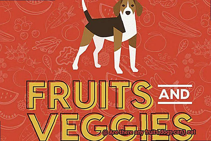 Are there any fruits dogs can't eat-2