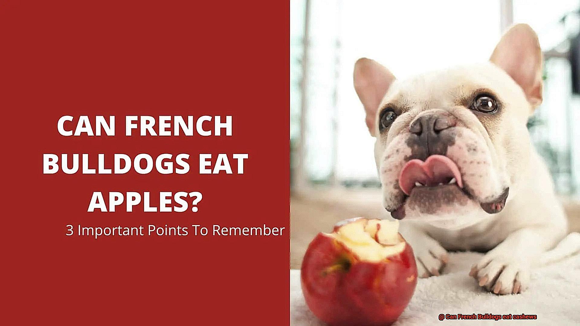 Can French Bulldogs eat cashews-3