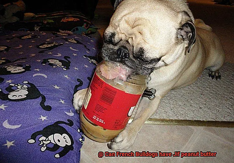 Can French Bulldogs have Jif peanut butter-2