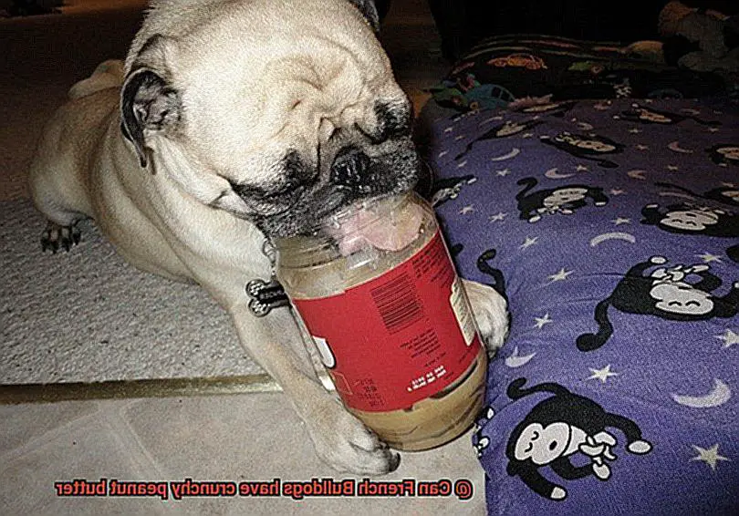 Can French Bulldogs have crunchy peanut butter-4