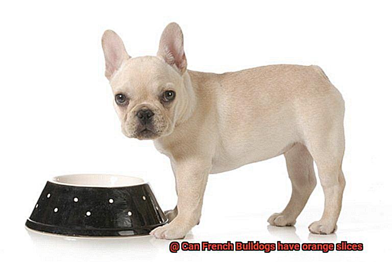 Can French Bulldogs have orange slices-4
