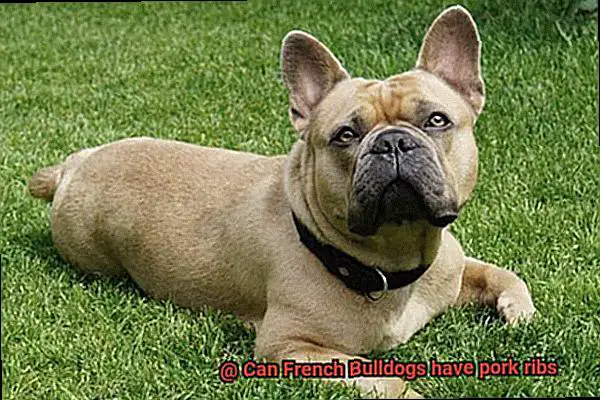 Can French Bulldogs have pork ribs-2