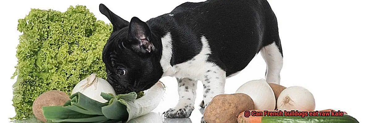 Can French bulldogs eat raw kale-3