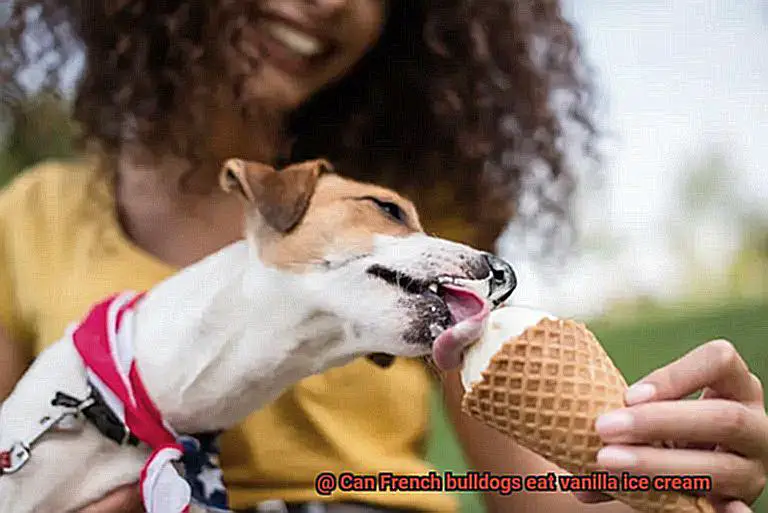 Can French bulldogs eat vanilla ice cream-2