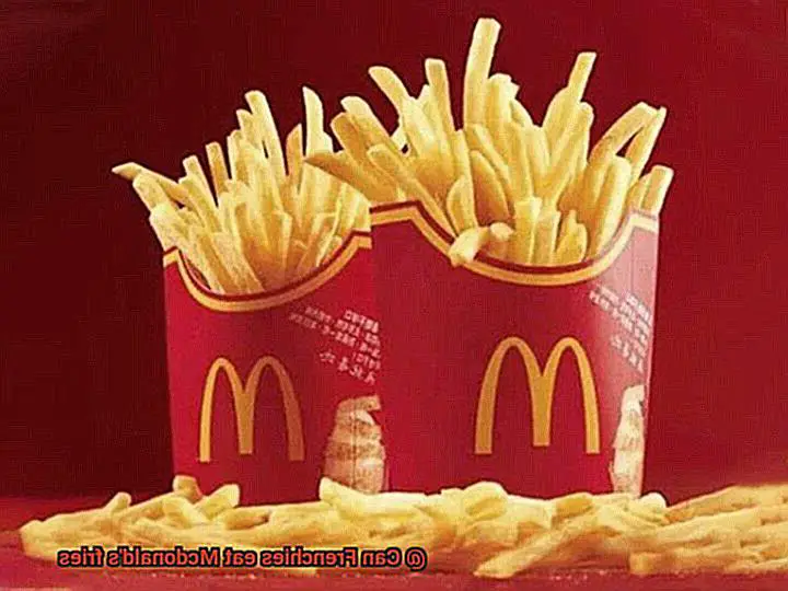 Can Frenchies eat Mcdonald's fries-6