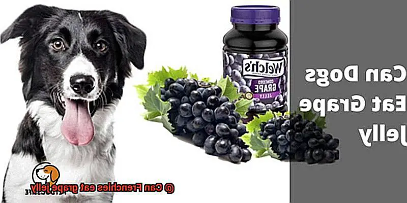 Can Frenchies eat grape jelly-5