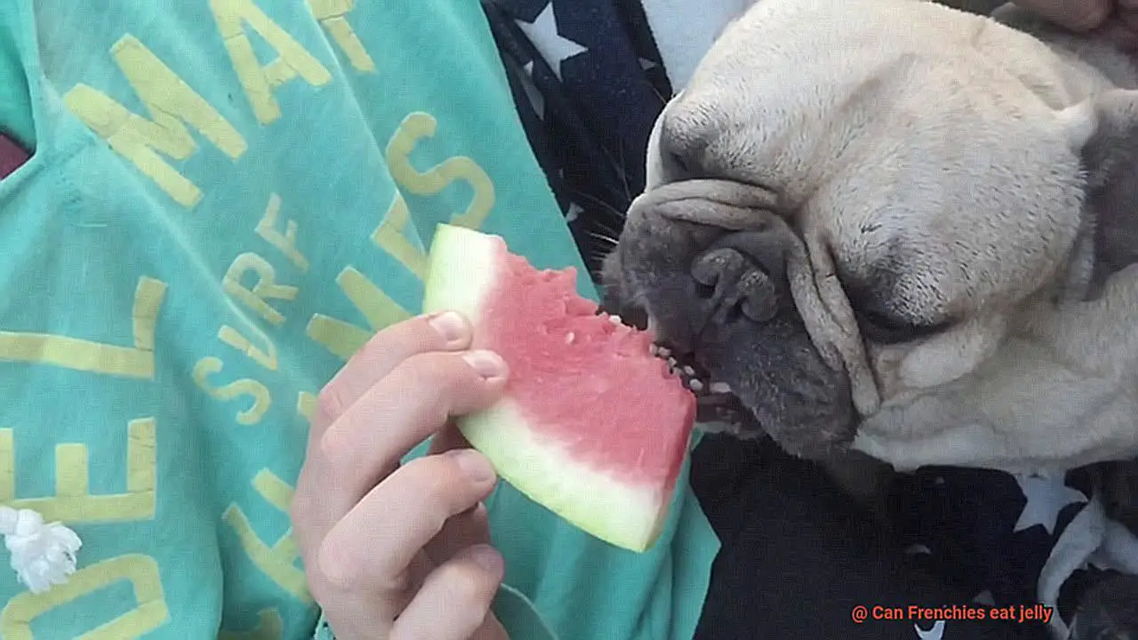 Can Frenchies eat jelly-4
