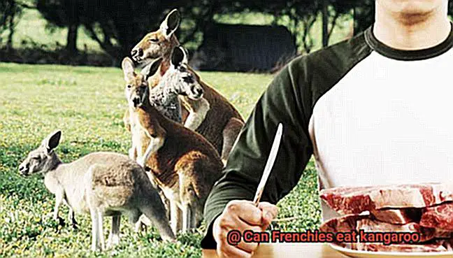 Can Frenchies eat kangaroo-6