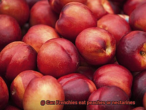 Can Frenchies eat peaches or nectarines-2