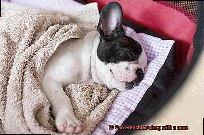 Can Frenchies sleep with a cone-6