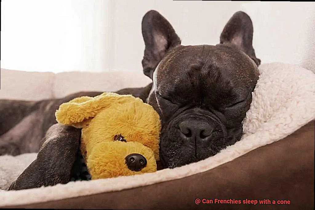 Can Frenchies sleep with a cone-7