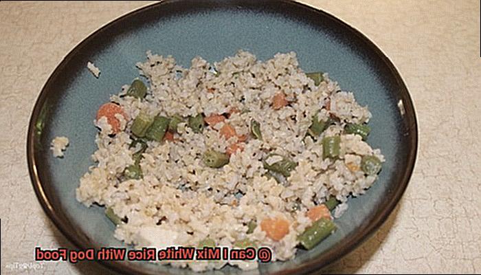 Can I Mix White Rice With Dog Food-2