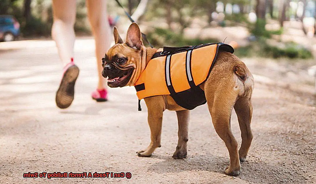 Can I Teach A French Bulldog To Swim-3