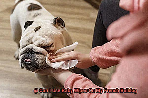 Can I Use Baby Wipes On My French Bulldog-7