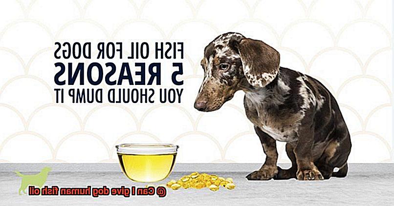 Can I give dog human fish oil-2