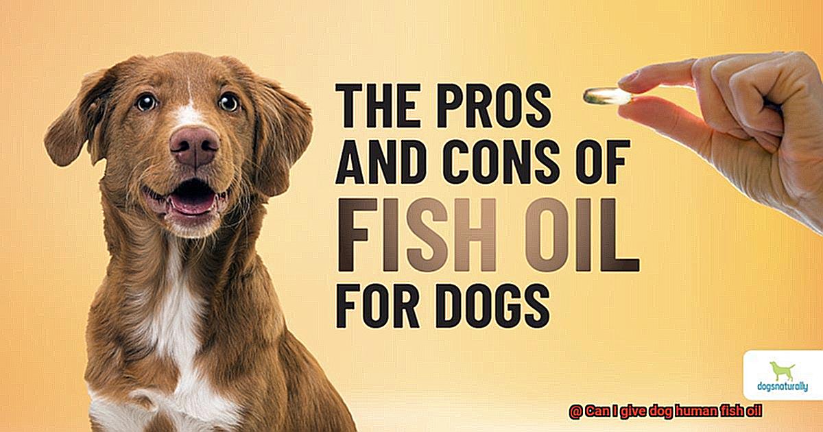 Can I give dog human fish oil-4