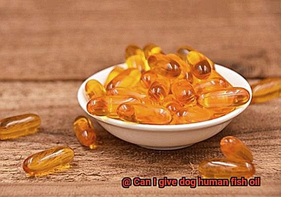 Can I give dog human fish oil-6