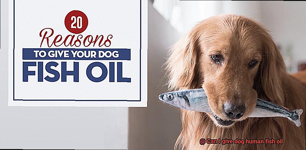 Can I give dog human fish oil-3