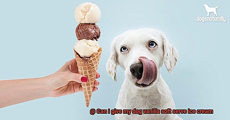 Can I give my dog vanilla soft serve ice cream-3