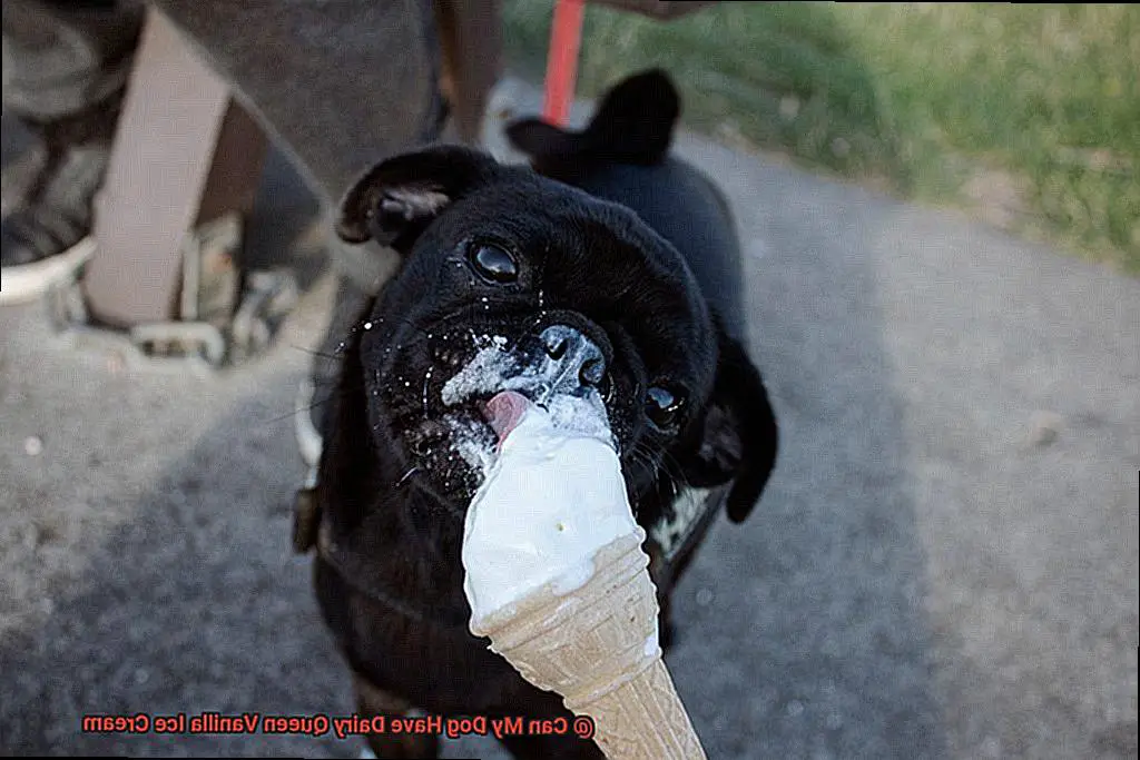 Can My Dog Have Dairy Queen Vanilla Ice Cream-5