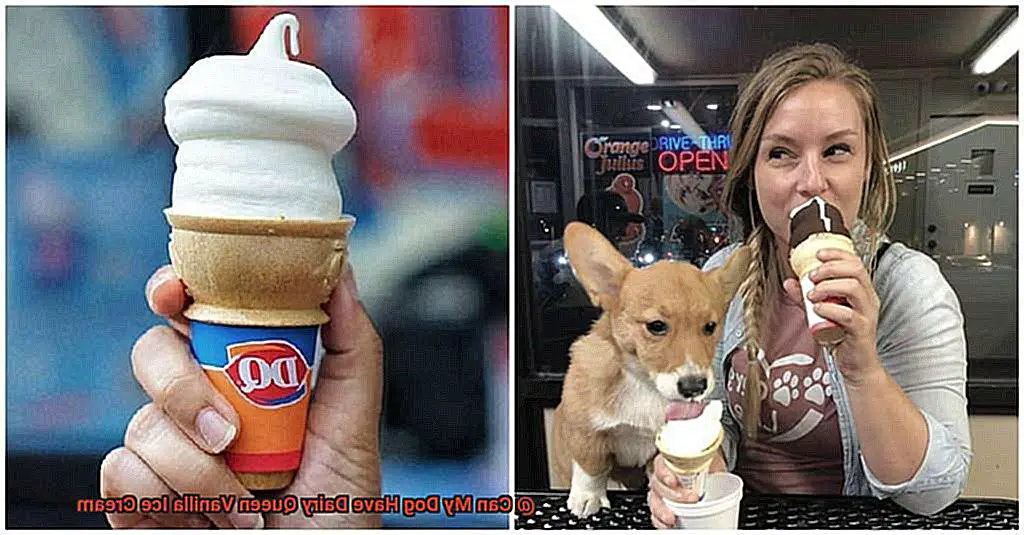 Can My Dog Have Dairy Queen Vanilla Ice Cream-3