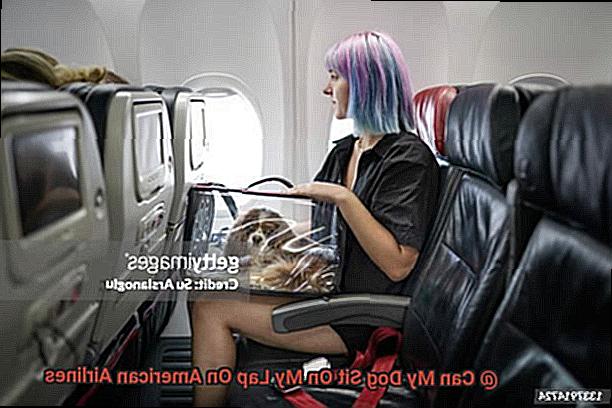 Can My Dog Sit On My Lap On American Airlines-2