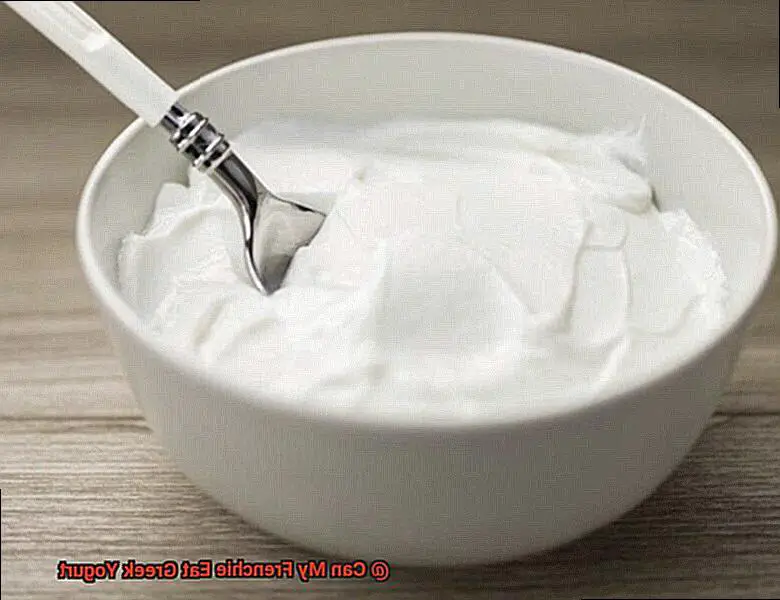 Can My Frenchie Eat Greek Yogurt-4
