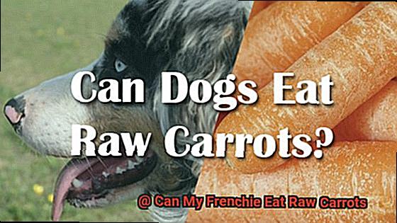 Can My Frenchie Eat Raw Carrots-3