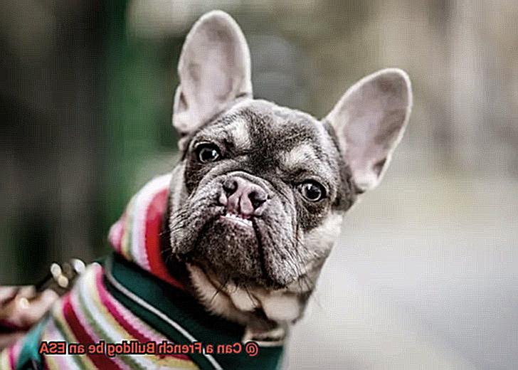 Can a French Bulldog be an ESA-7