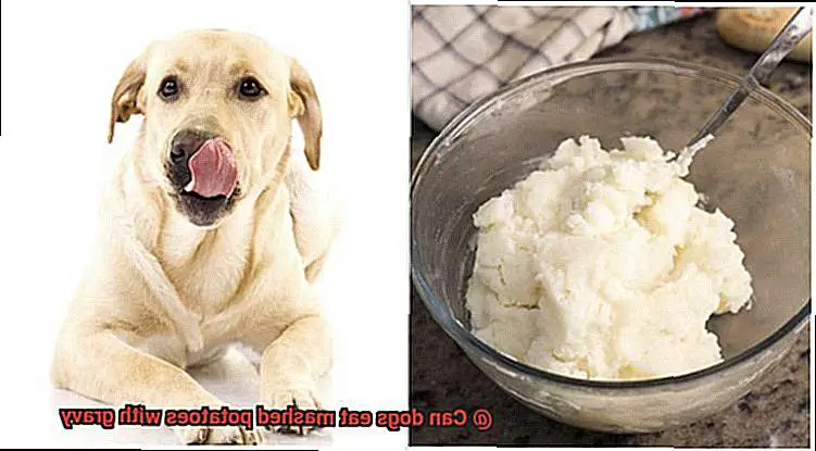 Can dogs eat mashed potatoes with gravy-2