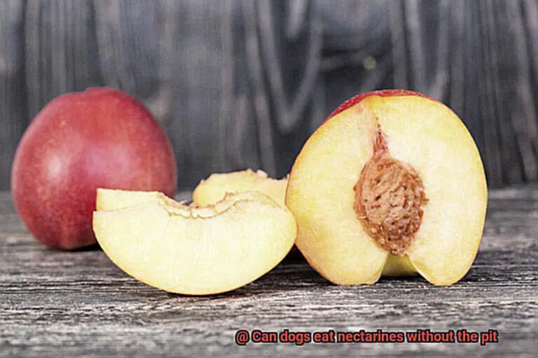 Can dogs eat nectarines without the pit-4