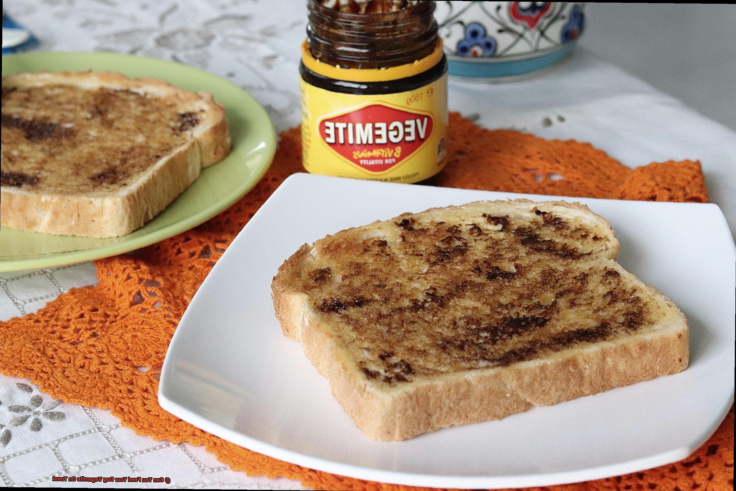 Can You Feed Your Dog Vegemite On Toast-2