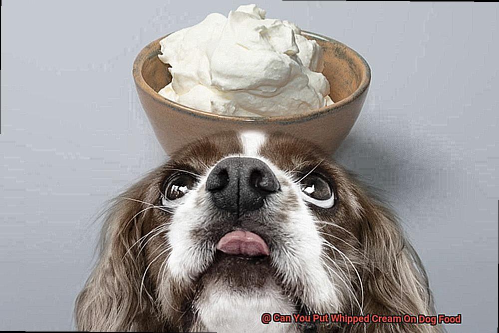 Can You Put Whipped Cream On Dog Food-4