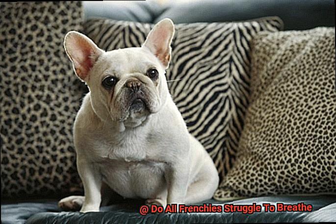 Do All Frenchies Struggle To Breathe? – Allfrbulldogs.com