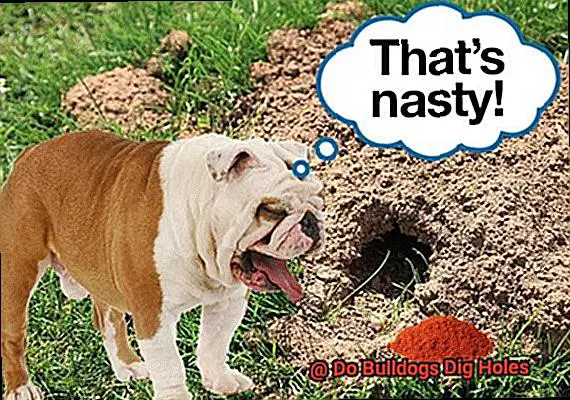 Do Bulldogs Dig Holes-3