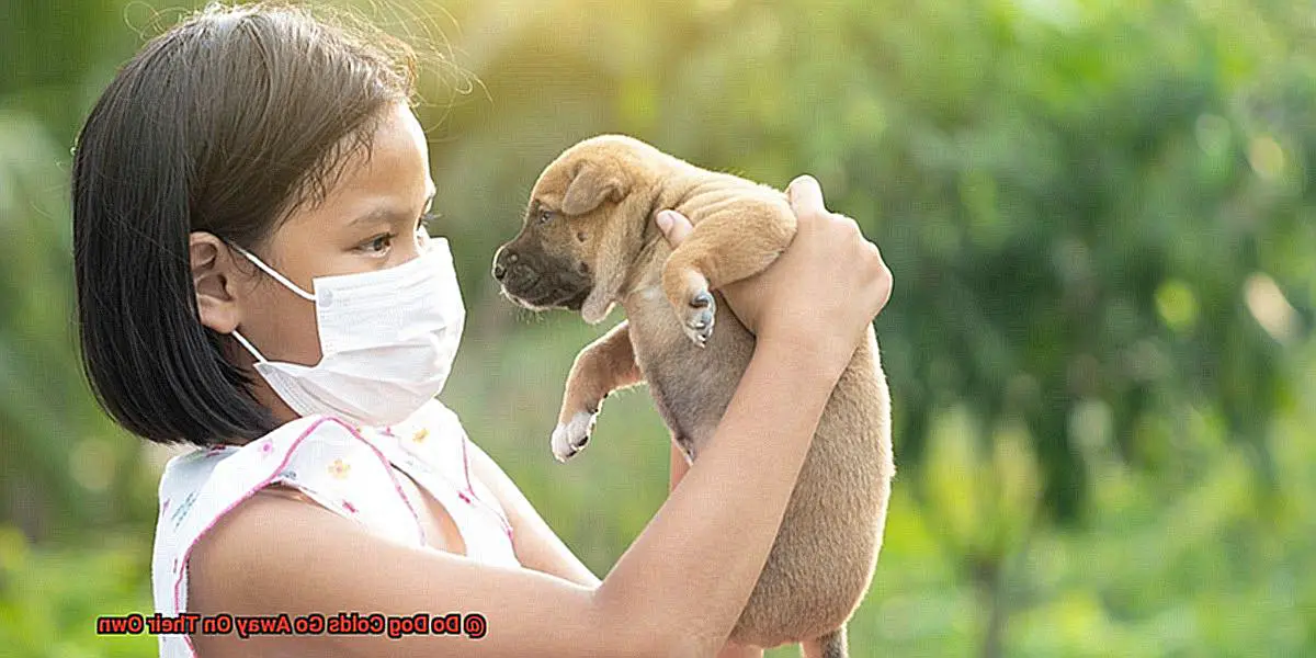 Do Dog Colds Go Away On Their Own-3