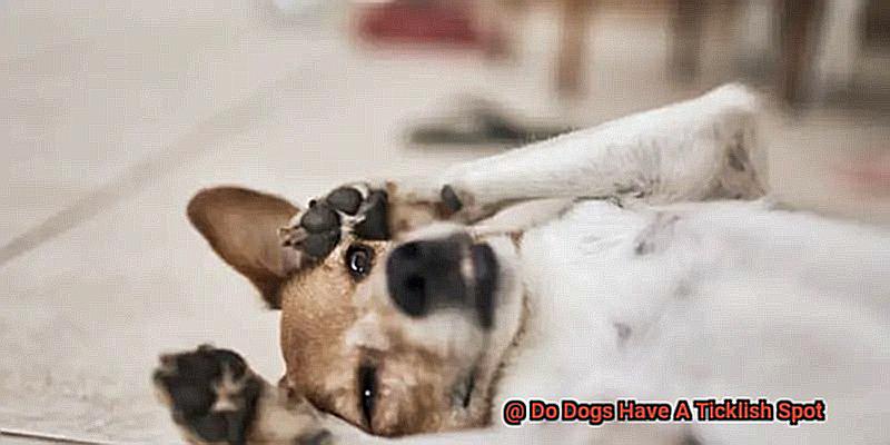 Do Dogs Have A Ticklish Spot-3